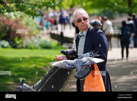 A man feeding pigeons in Hyde Park, London, United Kingdom Stock Photo - Alamy