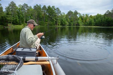 The Best Walleye Fishing Lures: Our Top 15 Picks - Life In Minnesota