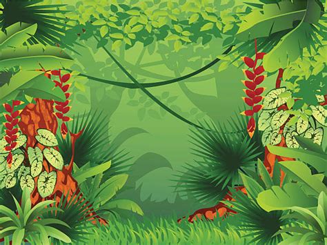 Amazon Rainforest Clip Art Clip Art Library - vrogue.co