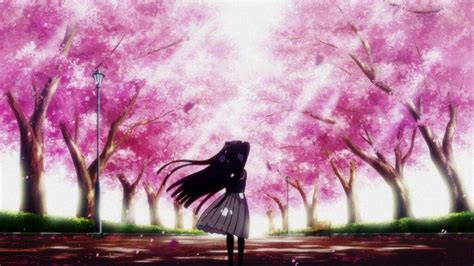 Sakura / Gamer ♡ | •Anime• Amino