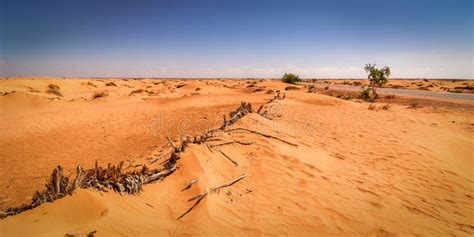 Desert Tunisia stock image. Image of sunrise, jemel, scenery - 41628533