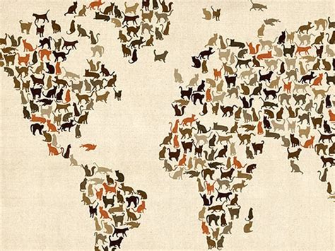 World Map of Cats 18x24 Canvas