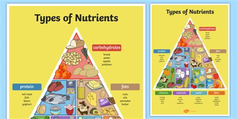 Types of Nutrients Pyramid Poster (teacher made)