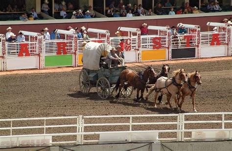 Calgary Stampede | Rodeo, Cowboys, Wild West | Britannica