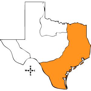 Gulf Coastal Plains - Andrew Meador's 4 Regions of Texas