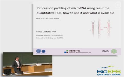 RNAi – microRNA – siRNA Applications – miRNA normalisation – eConferences