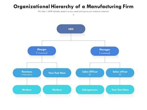 Organizational Hierarchy Of A Manufacturing Firm | Presentation Graphics | Presentation ...