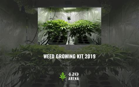 Top 10+ Best Weed Growing Kit of 2020 - Reviews & Buyer's Guide