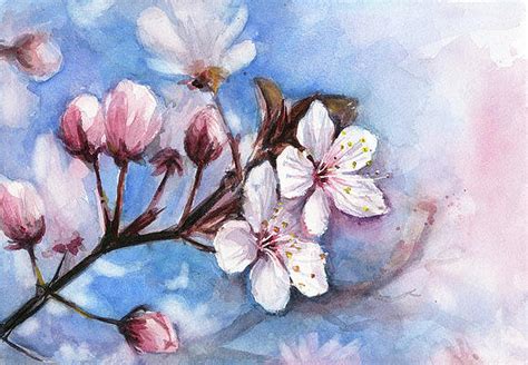 Cherry Blossom Flower Painting - Cherry Blossom Flower Painting With Watercolors Spring Youtube ...