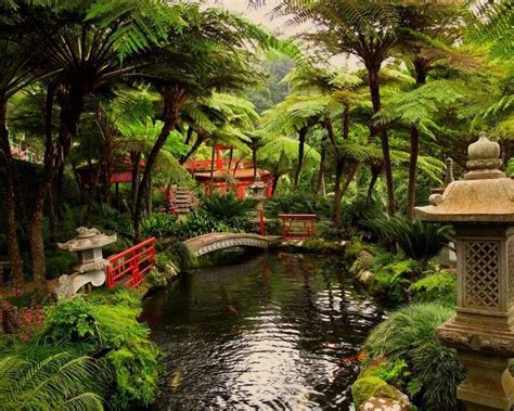 AmÃ©nagement Jardin Japonais Jardin Japonais Et Déco Zen En 15 Idées D ...