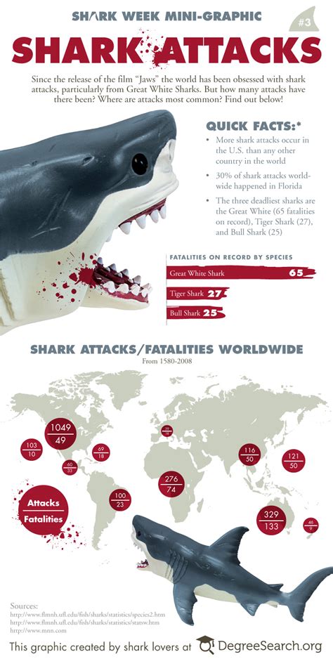 Shark Attack Infographics: Why you don't need to be afraid of sharks.