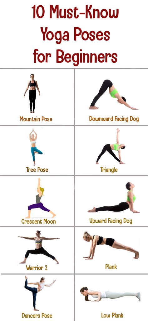 10 Must-Know Yoga Poses for Beginners | Yoga poses for beginners, Yoga for beginners, Basic yoga