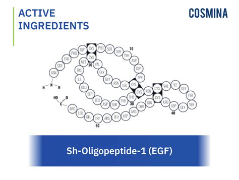 Sh-Oligopeptide-1 (EGF) - COSMINA