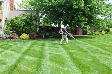 Best Lawn Care Service | Aerate, Seeding Lawn in Spring | RYAN Lawn