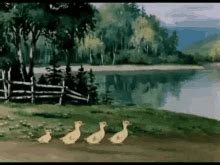 Ducks In A Row GIFs | Tenor