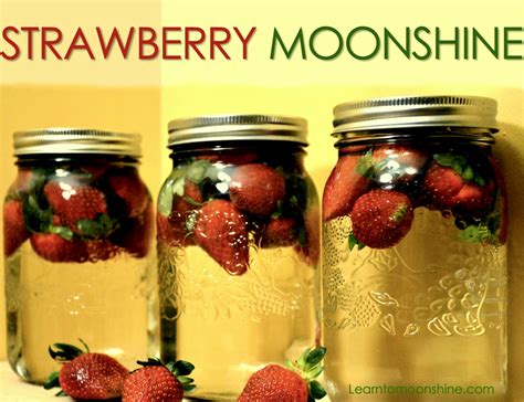 10+ Moonshine Recipes With Fruit - GurdipKatya