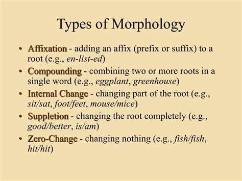 Morphology Examples