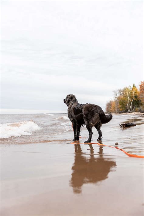 Beach Camp - Hipcamp in Ontonagon, Michigan