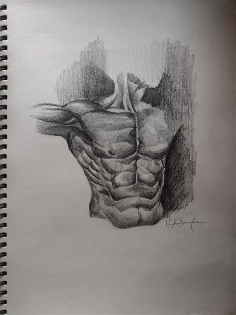 ArtStation - Male Torso Body