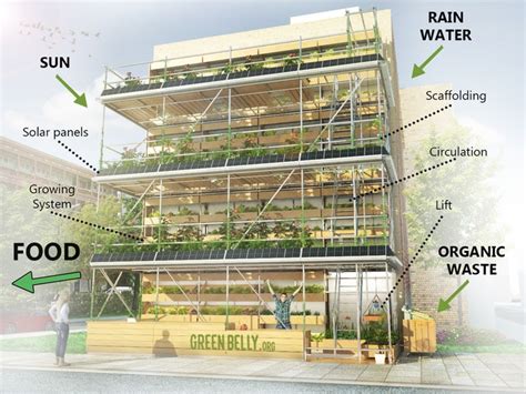 GreenBelly: Turning City Walls Into Vertical Farms — AGRITECTURE