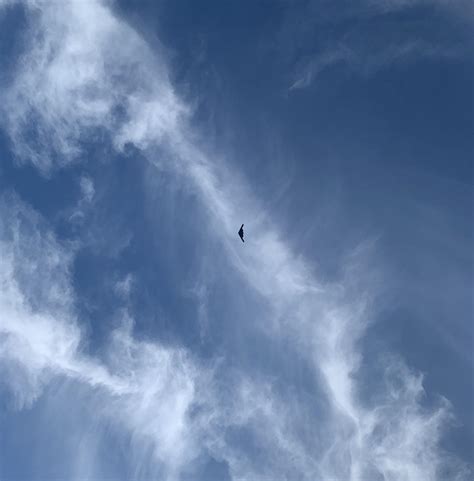 This Northrop Grumman B-2 Spirit flying slow and low over Kansas City ...