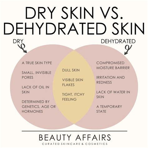 Dry vs Dehydrated Skin: Key Differences | Skin facts, Face skin care ...