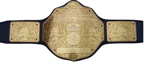 WCW World Championship Belt - World Championship Wrestling Photo ...