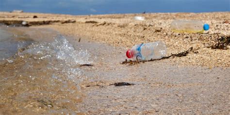 Plastic bottle deposit scheme could be introduced within months | Newstalk