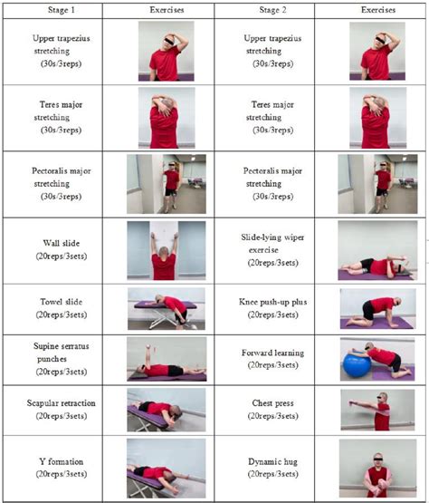 Scapular stabilization exercises | Download Scientific Diagram