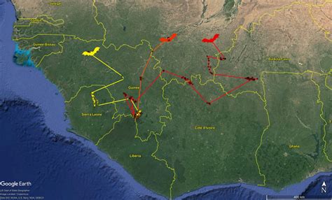 Searching for the Ebola reservoir : New scientific data portal maps bat samples across West and ...