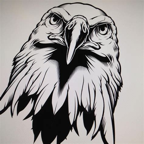 Jared Mirabile on Instagram: “Eagle illustration WIP. #illustration # ...