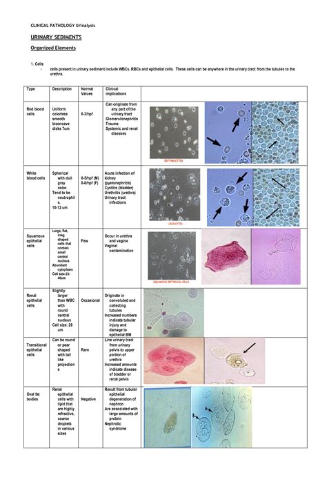 SOLUTION: Microscopic analysis of urine atlas - Studypool