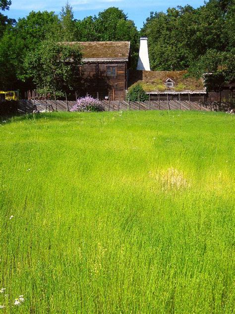 Skansen,Out door museum, Stockholm | Stockholm, Stockholm sweden ...