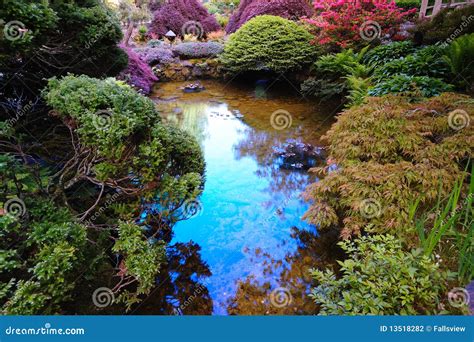 Japanese garden pond stock photo. Image of attraction - 13518282