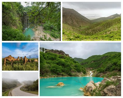 Discover Khareef Season in Salalah - Go Salalah Tour