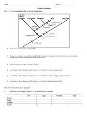 Phylogeny and Cladistics | CK-12 Foundation - Worksheets Library