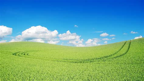 2560x1440 Green Landscape Beautiful 1440P Resolution ,HD 4k Wallpapers ...