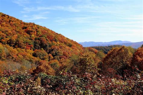 Blue Ridge Parkway in Fall with All the Colors of Leaves Stock Photo ...