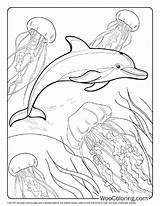 100  Dolphin coloring Pages Free PDF To Print Woo Coloring sketch template