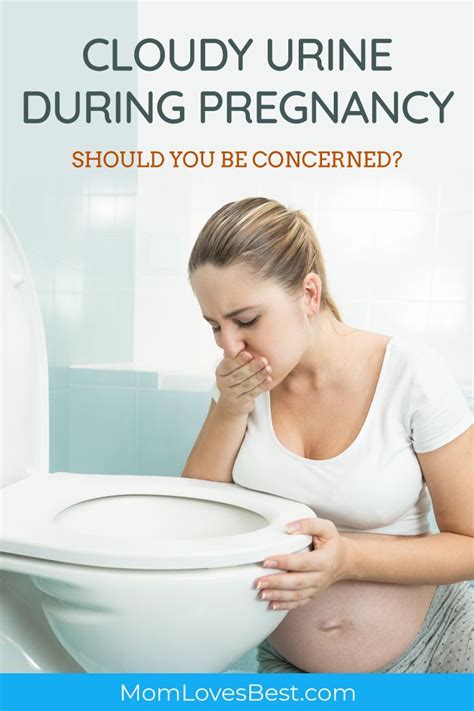 Strong Urine Smell Early Pregnancy Symptom, - Pregnancy Sympthom