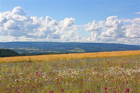 Landscape Nature Saarland - Free photo on Pixabay - Pixabay