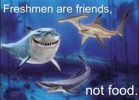 Shark From Finding Nemo Quotes. QuotesGram