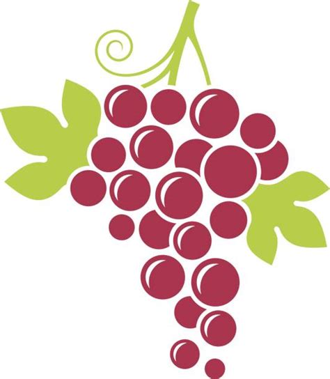 Grape Cluster Illustrations, Royalty-Free Vector Graphics & Clip Art - iStock