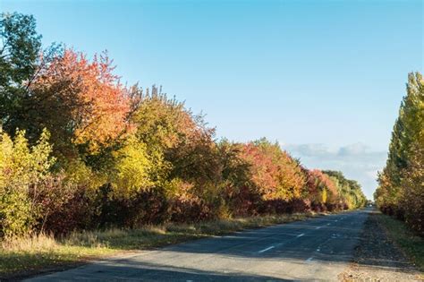 Premium Photo | Empty autumn road along golden winter wheat fields at sunset