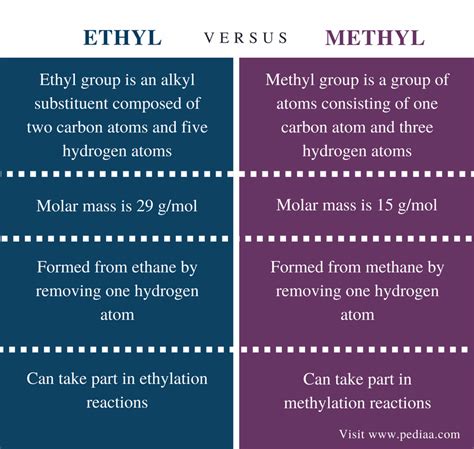 Diferença entre etil e metil - 2022 - Notícia