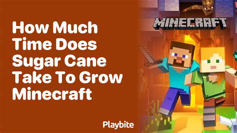 How Much Time Does Sugar Cane Take to Grow in Minecraft? - Playbite