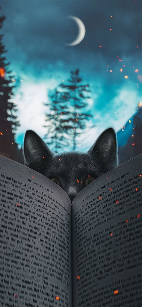 Cat, book, cat, HD phone wallpaper | Peakpx