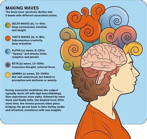 Making Waves (Illustration of the 5 types brain waves and how ...