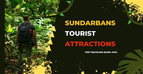 Sundarban National Park Entry Fee in 2024