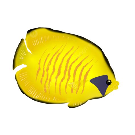 Sea Fishing PNG Image, Yellow Sea Fish, Fish, Marine Protection, Marine ...